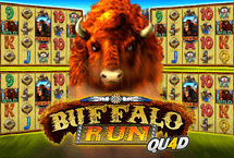 buffalo Run